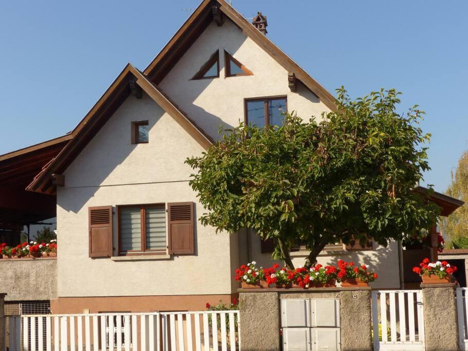 Gite Spacieux Au Coeur De L'Alsace 3*** 셀레스탓 외부 사진