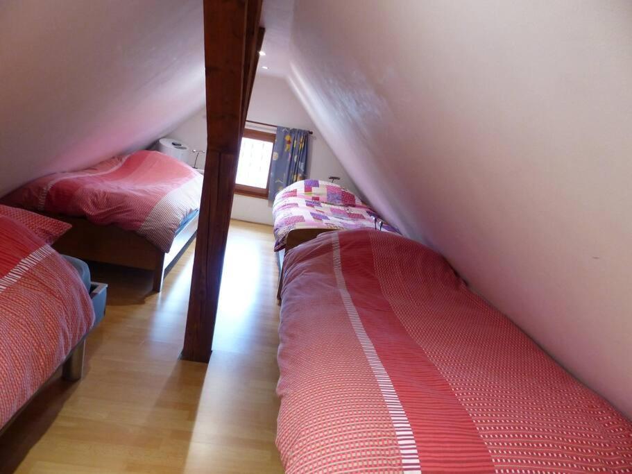 Gite Spacieux Au Coeur De L'Alsace 3*** 셀레스탓 외부 사진