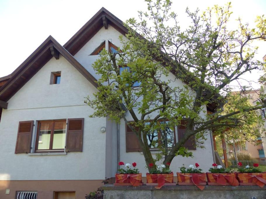 Gite Spacieux Au Coeur De L'Alsace 3*** 셀레스탓 외부 사진