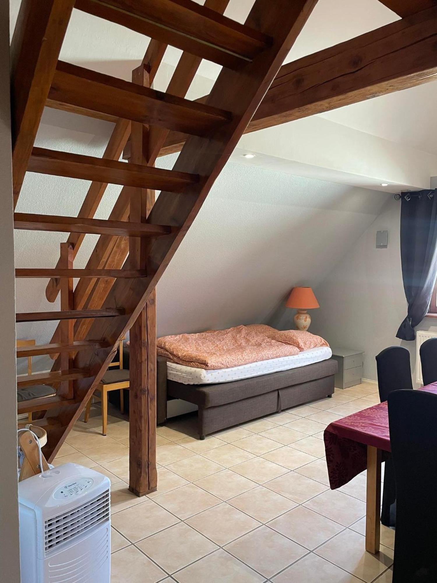 Gite Spacieux Au Coeur De L'Alsace 3*** 셀레스탓 외부 사진